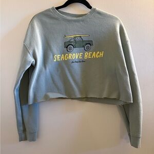 Women’s Seagrove Beach Graphic Cropped Sweater Mint Seafoam Green Small S